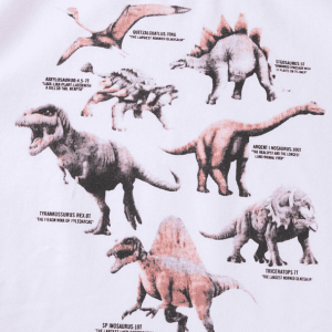 Y2K Grunge Age of Dinosaurs Tee - Retro 90s Summer Outfit Essential